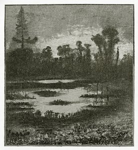 Les Chants du Crépuscule, 19e eeuw door Victor Hugo