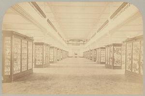 Pl. III. Hoofdverhaal: Vogels door Victor Prevost, Gaston L. Feuardent and Co., New York