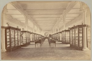 Pl. V. Bovenverdieping: Fossielen door Victor Prevost, Gaston L. Feuardent and Co., New York