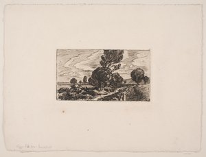 Weg door het veen