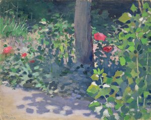 Studie van klaprozen in de tuin, 1894