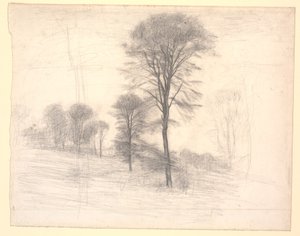 Landschap met verspreide bomen. 