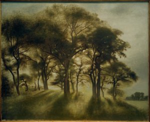 Landschap bij Fortunen