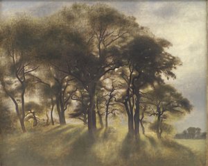 Bij Fortunen, Jagersborg Deer Park, ten noorden van Kopenhagen door Vilhelm Hammershoi