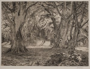 Het binnenste van een bos door Vilhelm Kyhn