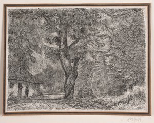 Het Huis in het Bos