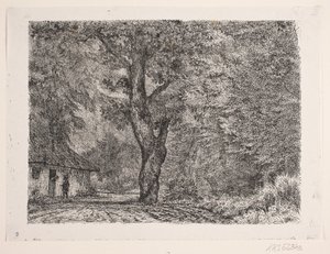 Het huis in het bos