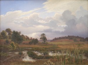Landschap bij het bos Nordskoven, Jægerspris, Seeland