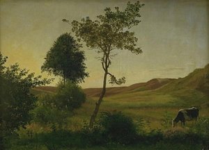 Landschap bij Hald tegen de avond