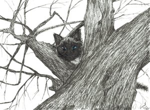 Appelboom Baby, 2015 door Vincent Alexander Booth