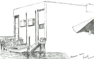 Aquarium Boston Mass, 2003 door Vincent Alexander Booth