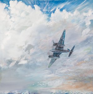 D.H. Mosquito, 2016 door Vincent Alexander Booth