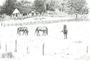 Paarden bovenaan de laan, 2008 door Vincent Alexander Booth