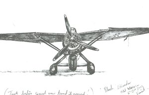 Lysander bij Old Warden, 2012 door Vincent Alexander Booth