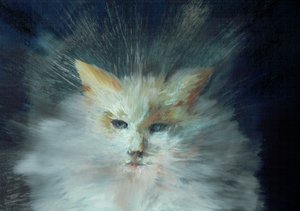 Monty fluffball, 2015