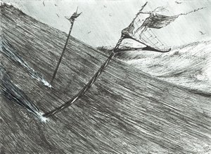 Stormscheppers Zwarte Zee, 2017