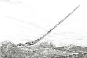 Stormscheppers Meer Mweru door Vincent Alexander Booth