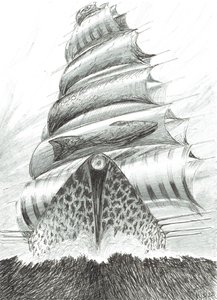 Stormscheppers Tosa Wan, 2022