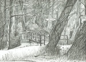 De oude metalen brug, Bramhall park door Vincent Alexander Booth