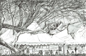Bruiloftstenten bij Lake Navaisha Kenia, 2003 door Vincent Alexander Booth