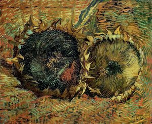 Twee gesneden zonnebloemen, 1887