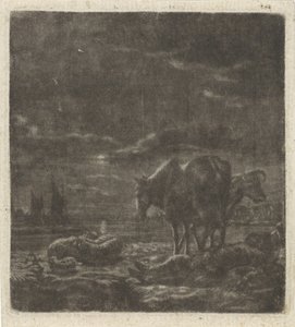 Nachtlandschap met slapende herder en vee