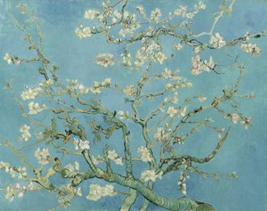  door Vincent van Gogh
