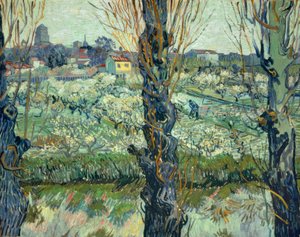 Uitzicht op Arles door Vincent van Gogh