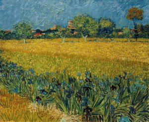 Uitzicht op Arles met irisbloemen op de voorgrond door Vincent van Gogh