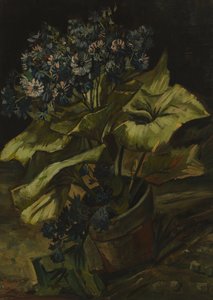  door Vincent van Gogh