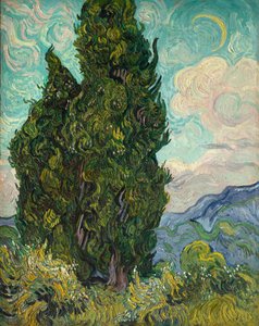 Cipressen door Vincent van Gogh