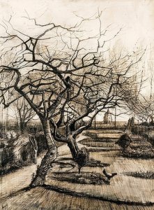 De tuin van de pastorie in Nuenen door Vincent van Gogh