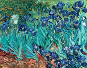 Iris (zwaardlelies)