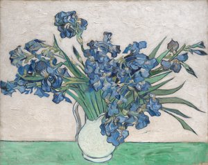Iris door Vincent van Gogh