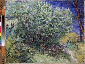 De seringstruik door Vincent van Gogh