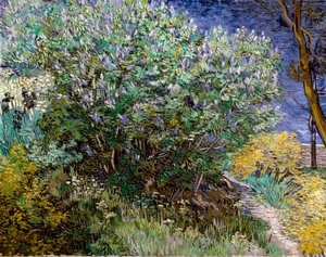 De seringstruik door Vincent van Gogh