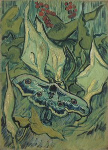 De grote groene pauw (doodshoofdvlinder) door Vincent van Gogh