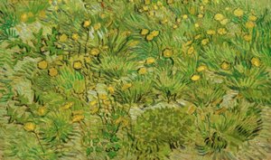 De paardenbloemen