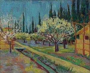 Boomgaard omgeven door cipressen door Vincent van Gogh