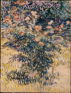 Oleanders, de ziekenhuis tuin bij Saint-Remy, 1889 door Vincent van Gogh