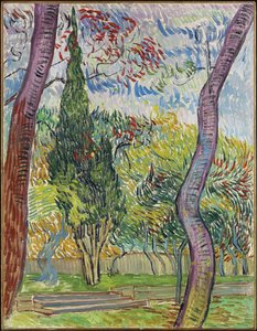 Park van het Saint-Paul ziekenhuis, 1889