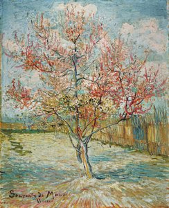 Pink peach trees (Souvenir de Mauve) door Vincent van Gogh