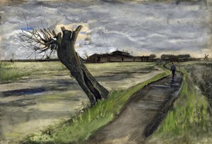 Knotwilg (saule tetard) door Vincent van Gogh