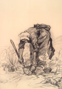 Bietenplukster