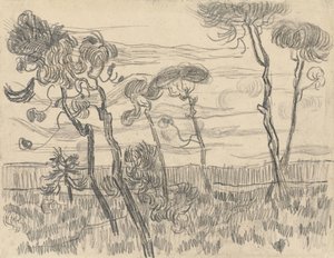 Zes pijnbomen bij de omheining, 1899 door Vincent van Gogh