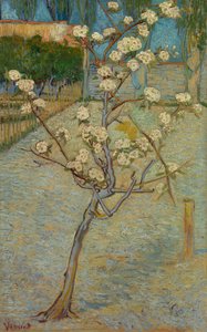 Kleine perenboom in bloei door Vincent van Gogh
