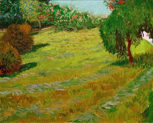 Zonnige weide: Park