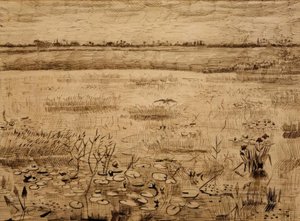 Moeraslandschap met waterlelies