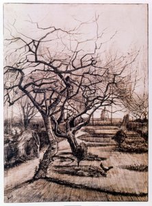 De pastorie tuin in Nuenen in de winter (1884) door Vincent van Gogh