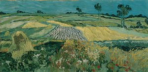 De vlakte van Auvers, 1890